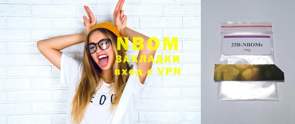 прущие грибы Горняк
