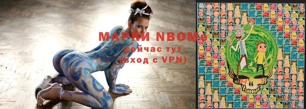 прущие грибы Горняк