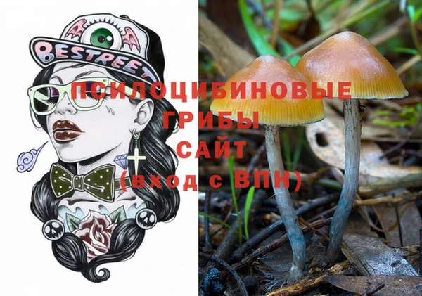 кокс Вяземский