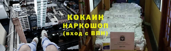 кокс Вяземский