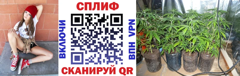 МАРИХУАНА конопля цена наркотик Дегтярск